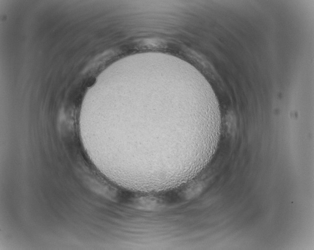 X0000081290423200701251657