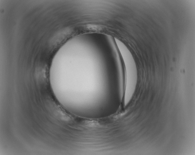 X0000081290424200701251657