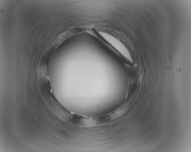 X0000081290425200701251657