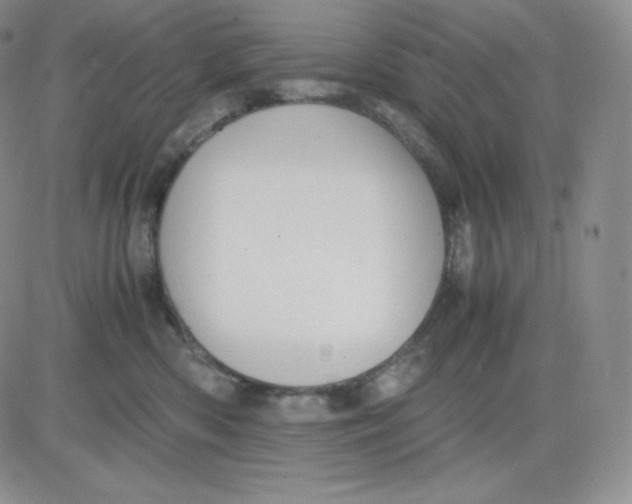 X0000081290426200701251657