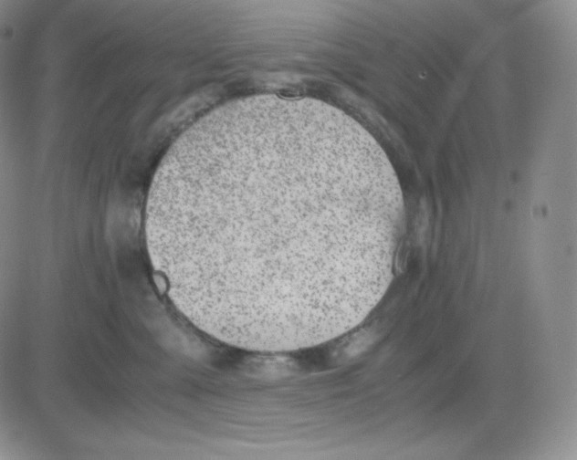 X0000081290427200701251657