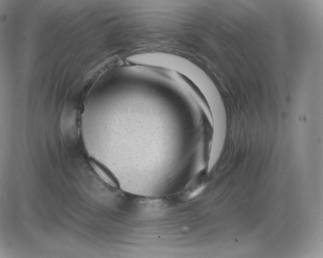 X0000081290428200701251657