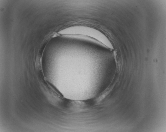 X0000081290429200701251657