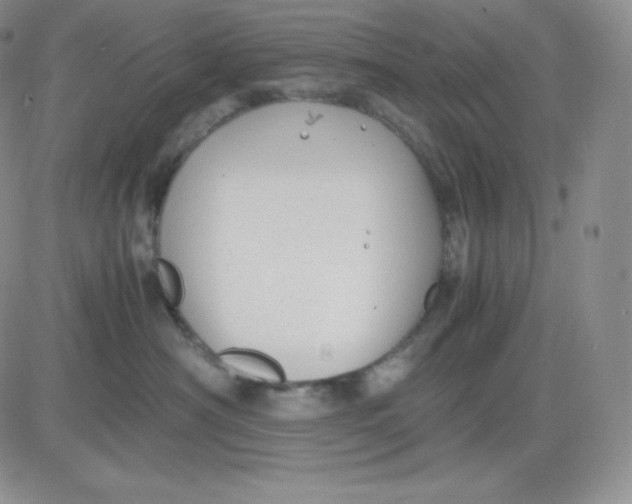 X0000081290430200701251657