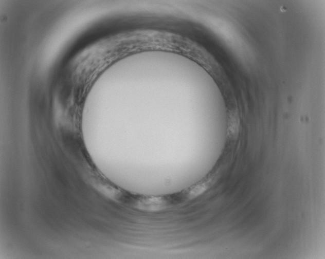 X0000081290431200701251657