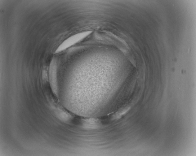 X0000081290432200701251657