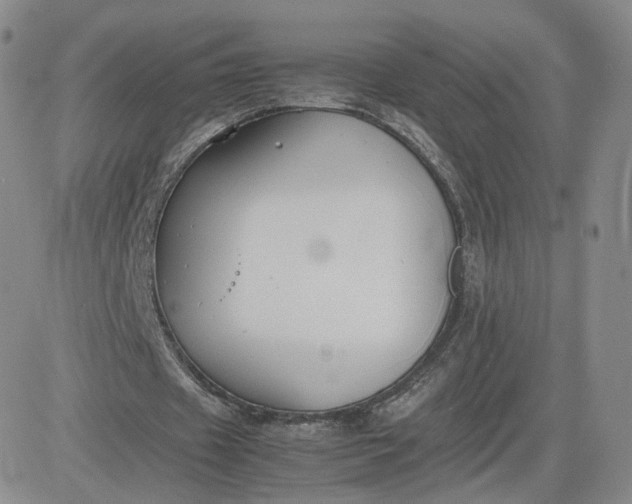 X0000081290433200701251657