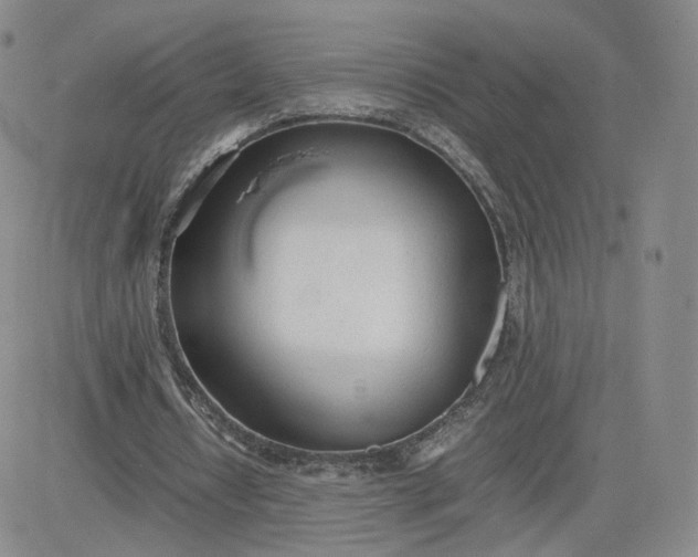 X0000081290434200701251657