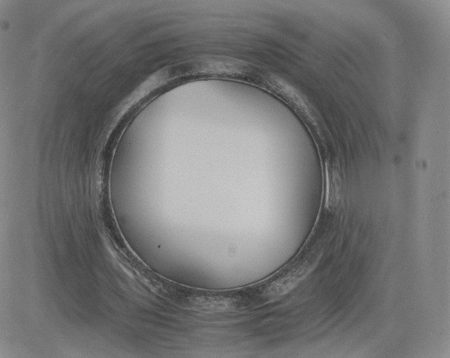 X0000081290435200701251657