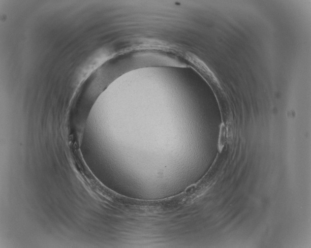 X0000081290436200701251657