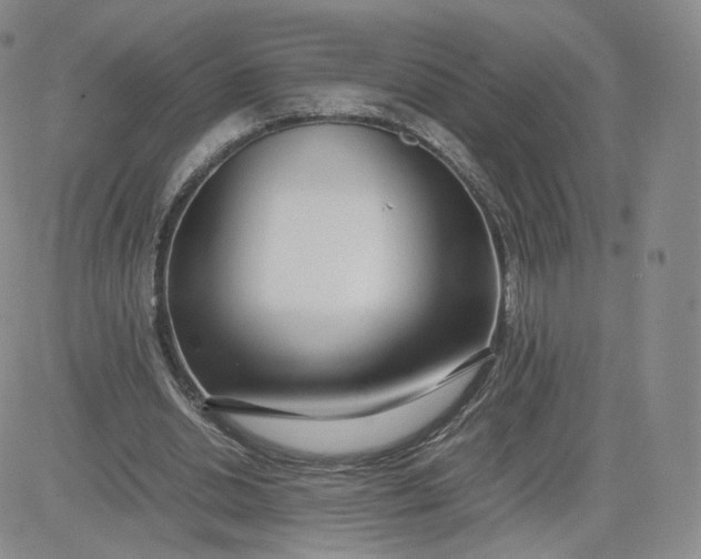 X0000081290438200701251657