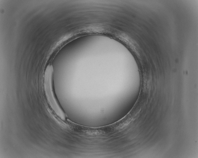 X0000081290439200701251657