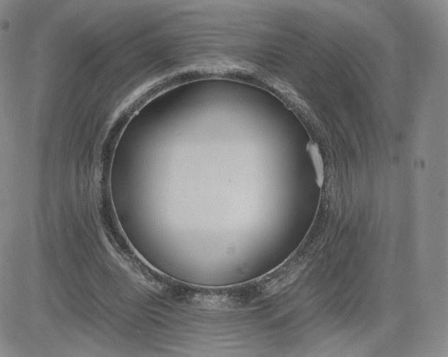 X0000081290440200701251657