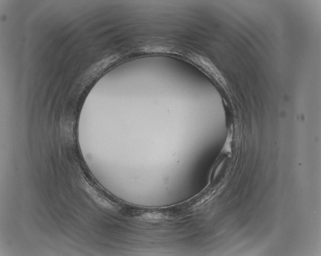 X0000081290441200701251657