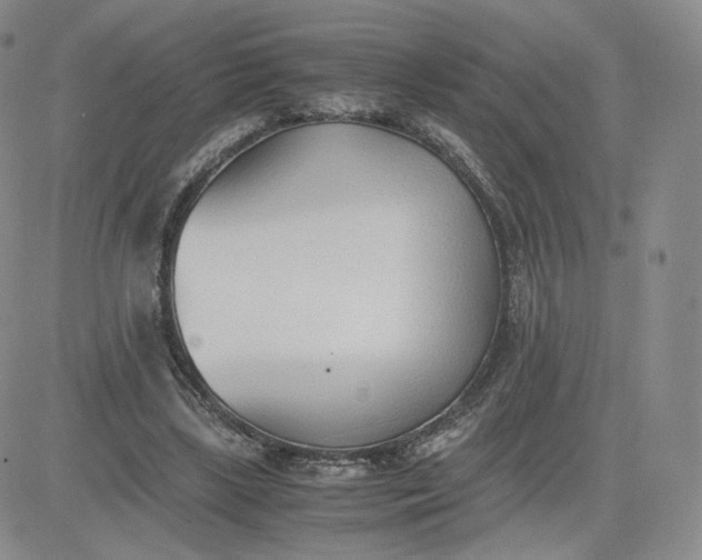 X0000081290443200701251657