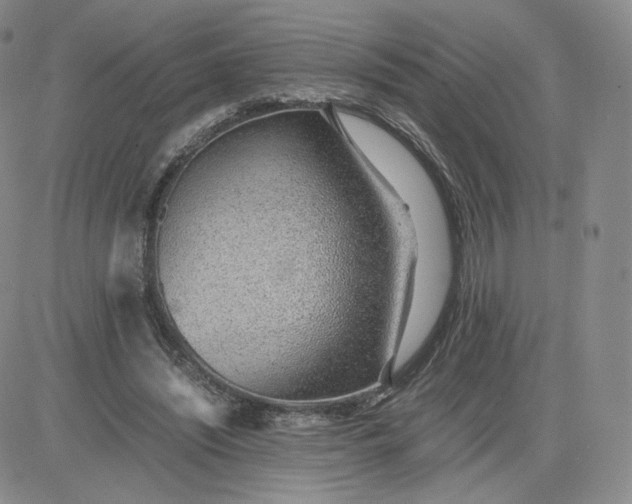 X0000081290444200701251657