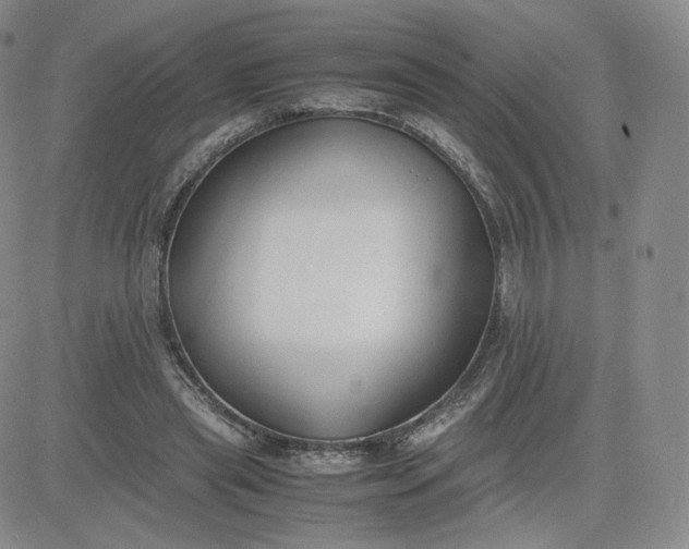 X0000081290445200701251657