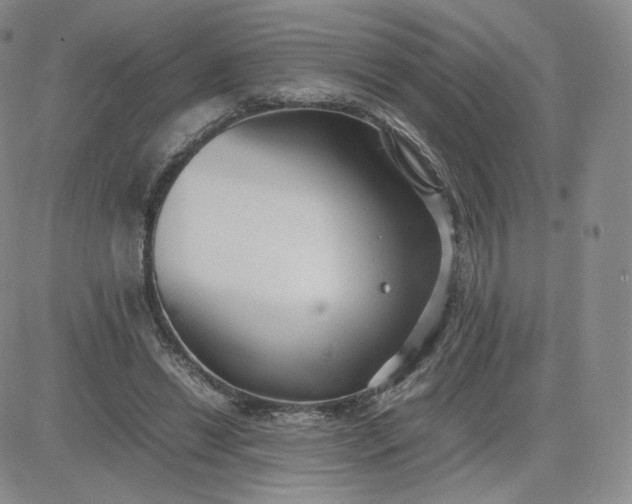 X0000081290446200701251657