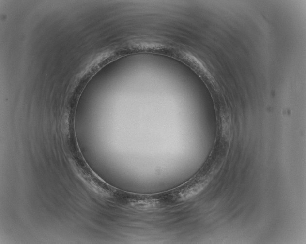 X0000081290447200701251657