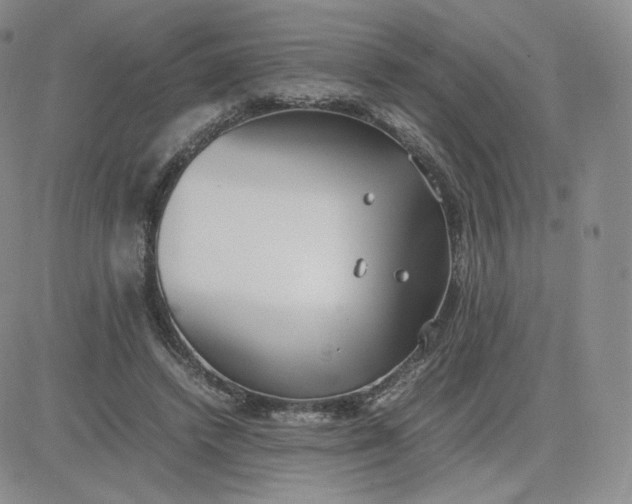 X0000081290448200701251657