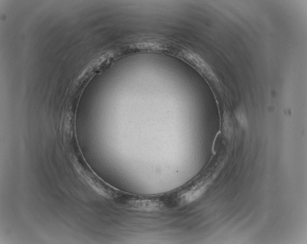 X0000081290449200701251657