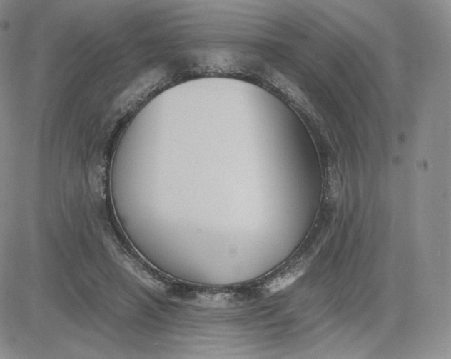 X0000081290450200701251657