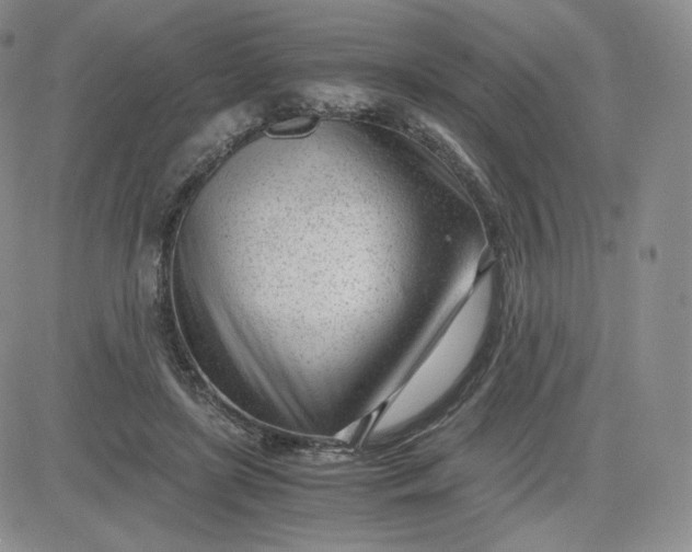 X0000081290451200701251657