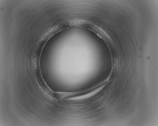 X0000081290452200701251657