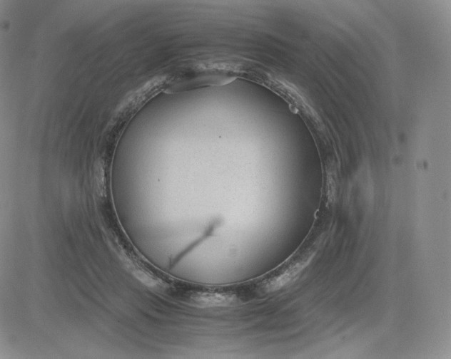 X0000081290453200701251657