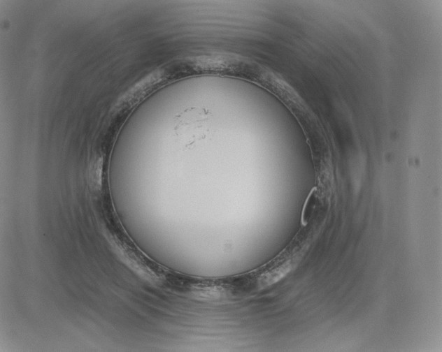 X0000081290454200701251657