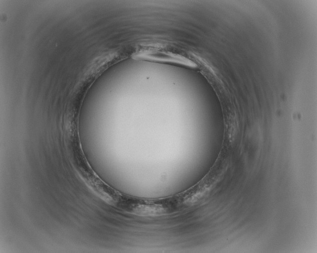 X0000081290455200701251657