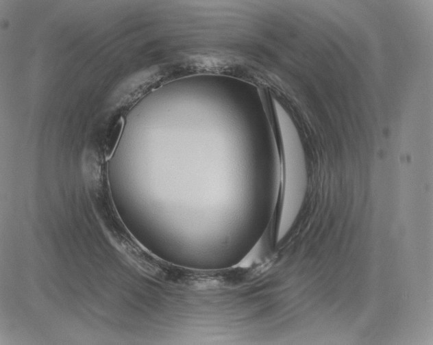 X0000081290456200701251657