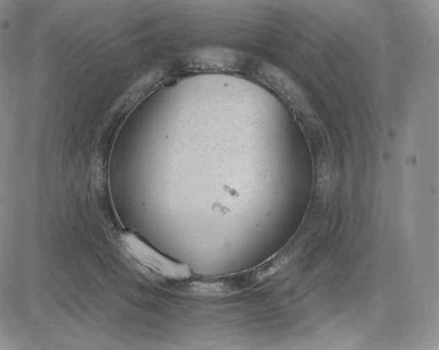 X0000081290457200701251657