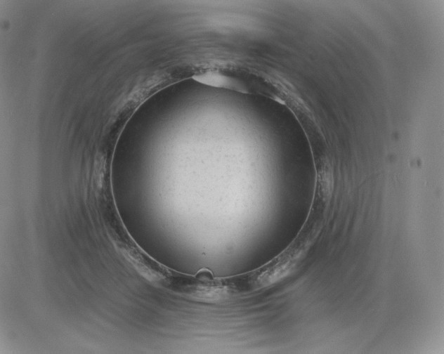 X0000081290458200701251657