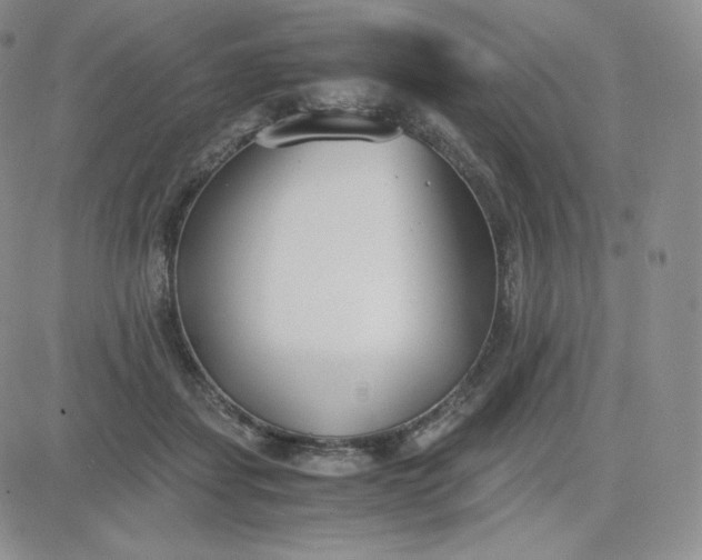 X0000081290459200701251657