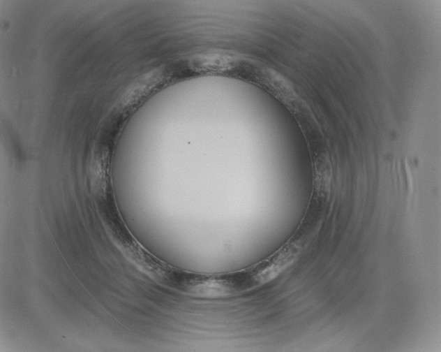 X0000081290460200701251657