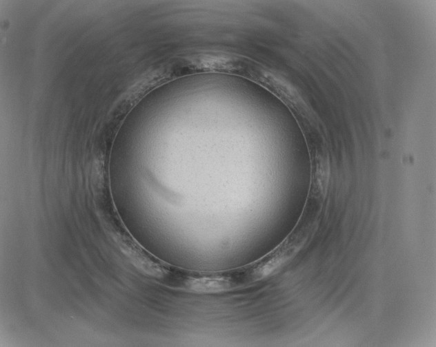 X0000081290461200701251657