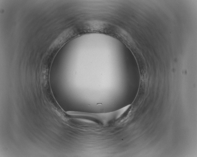 X0000081290462200701251657