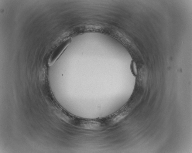 X0000081290463200701251657