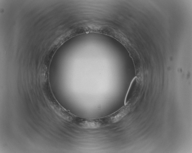 X0000081290464200701251657