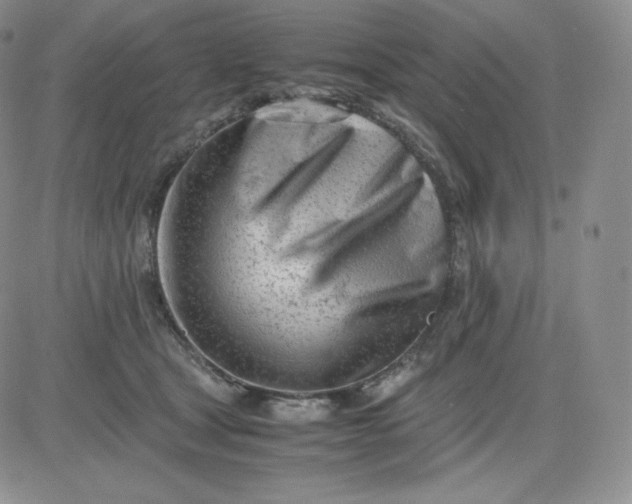 X0000081290465200701251657