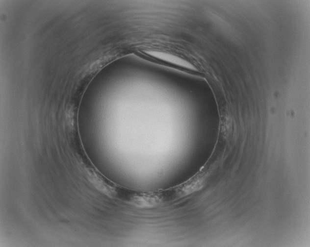 X0000081290466200701251657