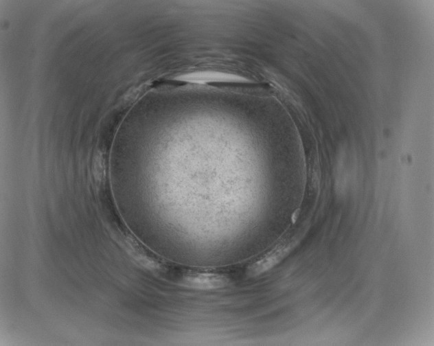 X0000081290467200701251657