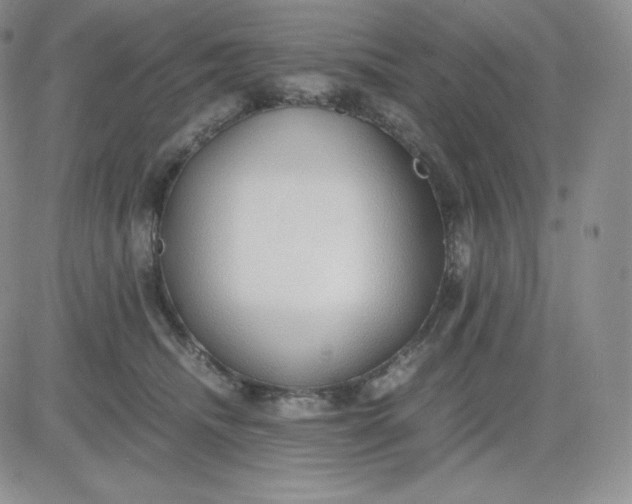 X0000081290468200701251657