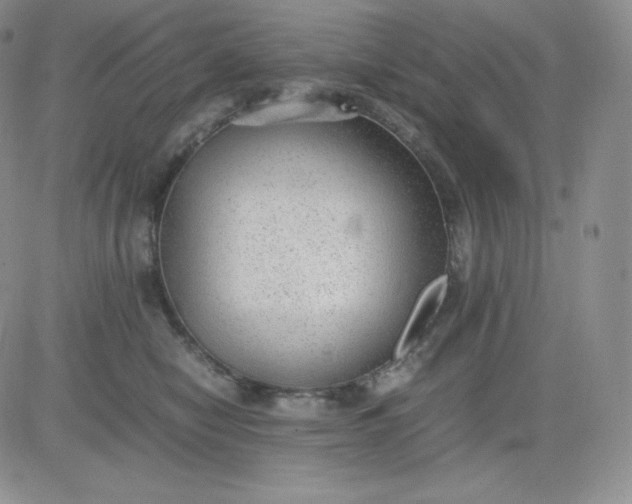 X0000081290470200701251657