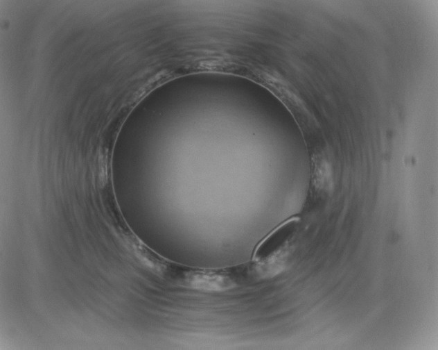 X0000081290471200701251657