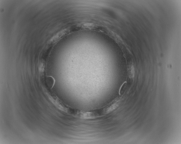 X0000081290472200701251657