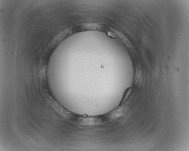 X0000081290473200701251657