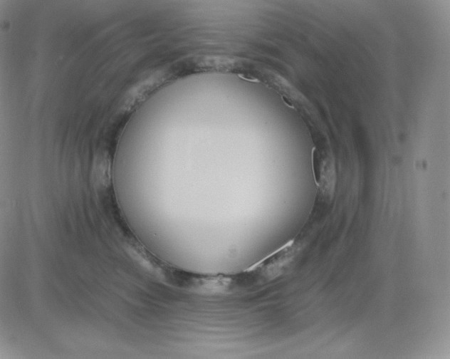 X0000081290474200701251657