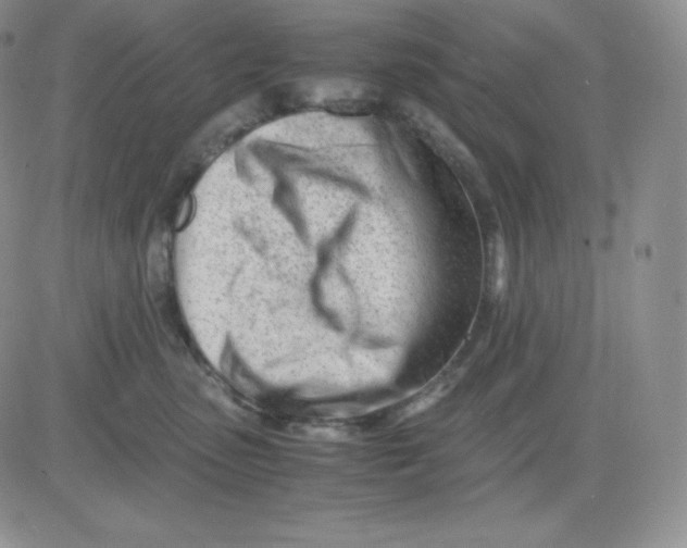 X0000081290475200701251657